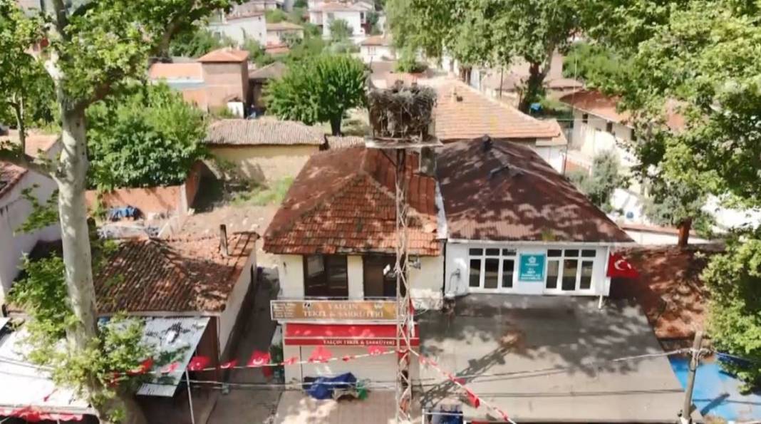 Sadık leylek, 20 yıldır o kentteki aynı elektrik direğine gelip yuva yapıyor! Mahalleli, leyleğe isim bile vermiş 2